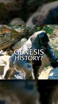Did We Come from Apes...or Adam?