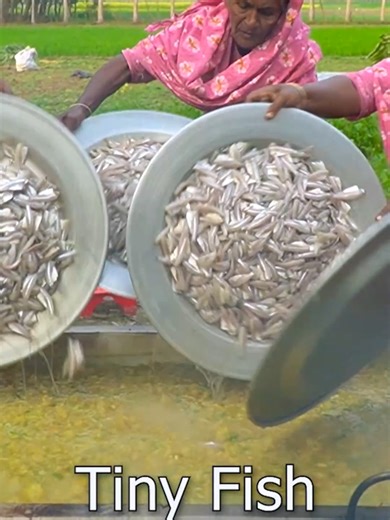 Authentic Bengali Fish Curry Recipe by Village Ladies