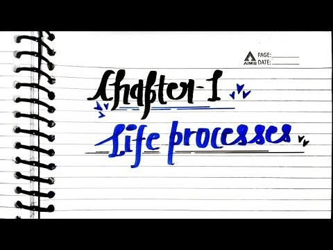 Life processes🌈✨ | Class 10th biology🌀 chapter 1 | Handwritten notes with pdf | #notes