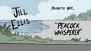 29K views · 873 reactions | WNT Animated, Presented by Ritz (Bonus Episode). Stay tuned for the full series on Monday, July 18. #OneNationOneTeam #RoadToRio | U.S. Soccer | Facebook