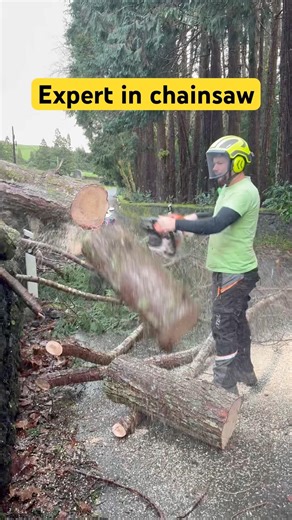 Chainsaw Work on a Fallen Tree