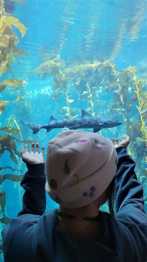 apothic | Monterey bay aquarium core 🎣🪼 Always a must on our trips in the van 🚐 #travel #montereybayaquarium #nature #vanlife #calm #aquarium... | Instagram