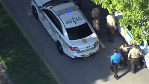 Mom and son, 4, killed by man in murder-suicide shooting at Chase Bank drive-thru: Police