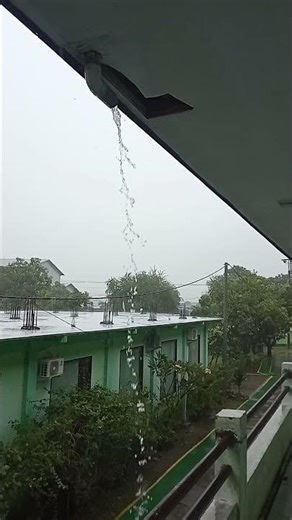 Rain shower /rain alive/ #rainalive #heavyraining #shorts