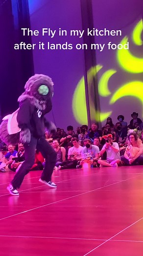 Delightful Fursuit Twerks and Fly Fursonas | Furry Bug TikTok Video