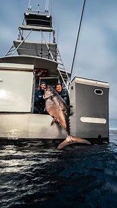 1.2K views · 19 reactions | The name gets thrown around too much....