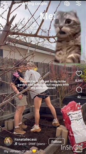 Are you in? or out😆 NO ONE join my project!! #ガーデニング #子育て #shorts #海外移住 #ニュージーランド