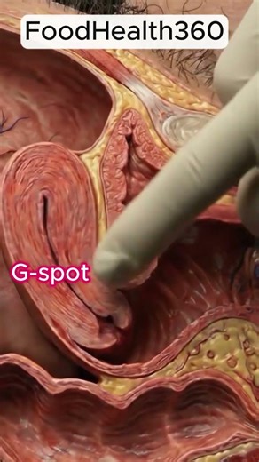 Unlock Her Pleasure: The G-spot #shorts Secret Revealed!