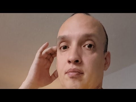 snakes and geckos cleaning and feeding