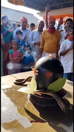 Jai nag devta ki🔱❤️#shorts