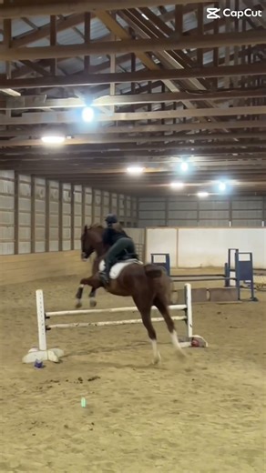 No recent horse vids 😭 #horse #equestrianjourney #equestrian #hunterjumper #showjumping #equitation