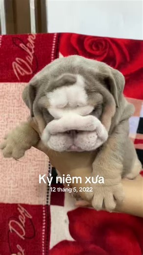 #kỷ niệm xưa
