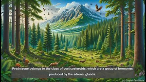 Prednisone in biology