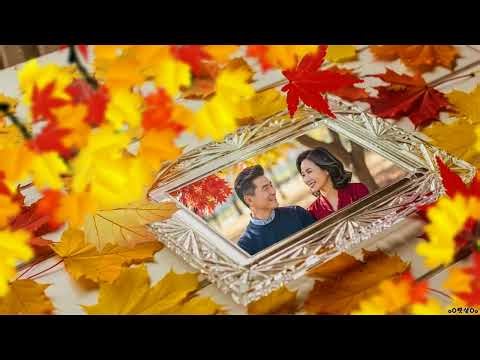 PTE AV Studio 단풍잎 포토슬라이드