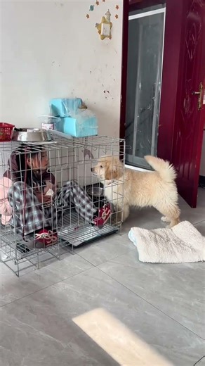 The boat of friendship is about to capsize because of a quarrel over a piece of sausage. Who is the