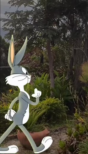 Live Wallpapers Photos TikTok'ta