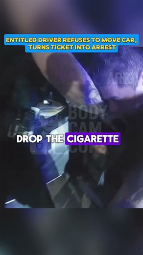 From Parking Tantrum to Handcuffs: Ticket Turns Into Arrest