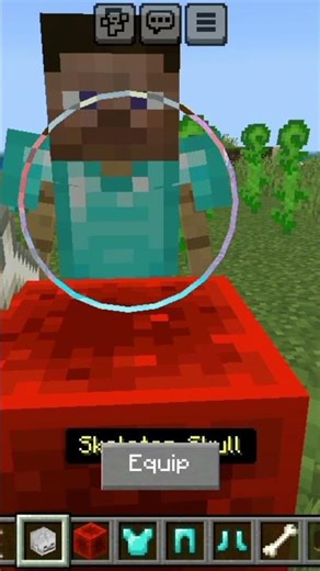 skeleton skull in Steve hand ☠️💀 in Minecraft