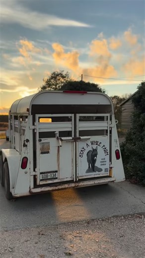 It’s important to work with good quality people and other professional breeders. Our friends at Stay A While Farm specialize in wooly donkeys. Tara runs a biannual auction for woolies and is one of my go to people for donkey wellness. #woolydonkey #woolydonkeys #minidonkey #donkey #donkeys #roadhome #breeder #donkeyfarm #registeredminiaturedonkey #miniaturedonkey ##almostheaven #westvirginia @purpledonkeyhumanrescue @stay_a_while_farm | Cypress Farm Registered Miniature Donkeys