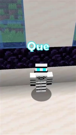 What is this Minecraft text hiding? #minecraft