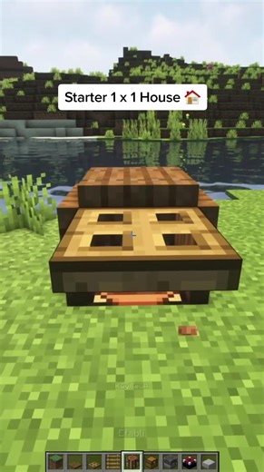 Starter 1x1 Survival House in Minecraft