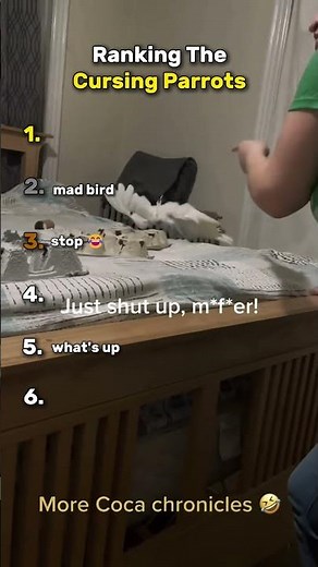 Ranking The Cursing Parrots