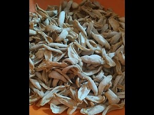 Sun dried salted raw mangoes || karwari sola making process || Amchur recipe / Amsule recipe