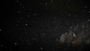 Organize your toolbox in minutes with Toolbox Widget -Magnetic...