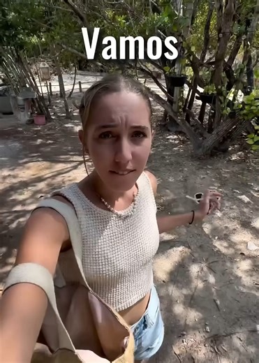 The mini hurricane hit my house 😳 . . . #holbox #island #parati #foryou #laguna #basura #mexico #naturaleza #funny #humor #comedy #furbaby #reels | Beth.oliverm