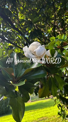 Everywhere all around the world! #skz #straykids #RUNIT #lyrics #lyricvideo