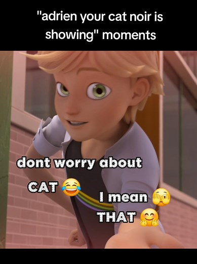 Ladybug Adrien Cat Noir Puns and Funny Moments