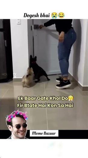 Dogesh bhai maidan chorh ke bhag rha hai😂😭 | Dogesh bhai like khud sambal ke matter #memes #shorts