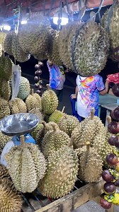 Where to find the best durian spots in Davao City? 🇵🇭❤️😍 #pasalubong #Philippines #food #durian #DavaoCity #DavaoLifeIsHere | Byahe Tayo