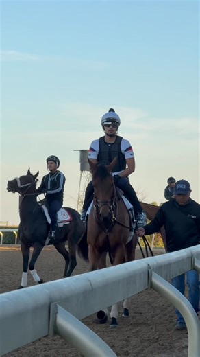 Up-close and personal with Grade I winner DYNAMIC PRICING (Night Of Thunder), trained by Chad Brown and entered in Saturday’s GI First Lady Stakes at Keeneland 💰 | Thoroughbred Daily News