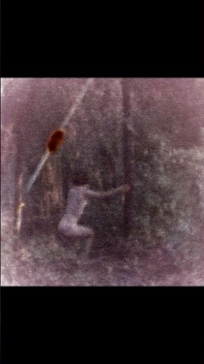 Pick of the day: "In Death I Softly Sing" directed by Katrin Olafsdottir.