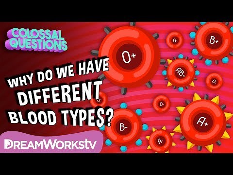 Why Do We Have Different Blood Types? | COLOSSAL QUESTIONS