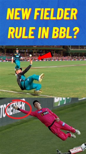 BBL to introduce 'designated hitter' rule for batters who won't have to field BBL officials hope the new 'designated batter and fielder' rule will keep cricket's biggest stars in the league longer. The rule, adapted from baseball, lets teams pick players who bat without fielding. This could extend careers of older batters like Chris Lynn or Mitchell Marsh. It might also lure Test players like Travis Head to play more BBL. [ Cricket rule, Cricket Rules, BBL, Cricket Facts, Interesting Cricket vid