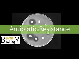 Antibiotic Resistance