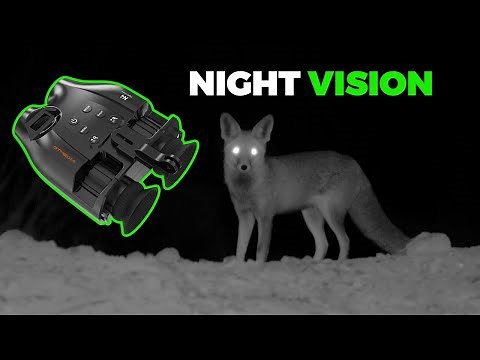 Budget Night Vision Binoculars - Are They Worth It?