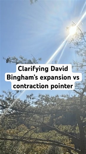 Clarifying David Bingham’s expansion vs contraction pointer #effortlessbeing #unityconsciousness