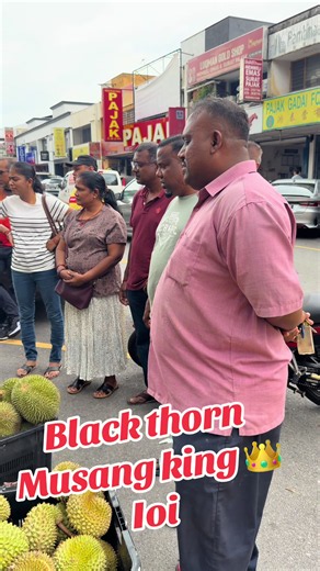 Black thorn Musang king 👑 Ioi#fyppppppppppppppppppppppp #viral #viraltiktok #baladurian #musangking