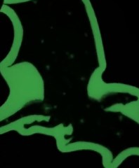 Glow in the Dark Dragon Sticker: Laminated Water-resistant Reader Decal - Etsy