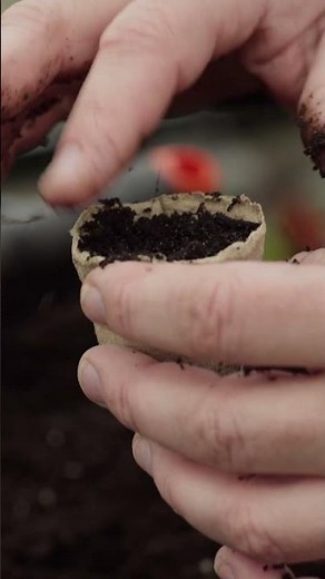 6 Reliable Sowing Methods – How to Sow Seeds Effectively?
