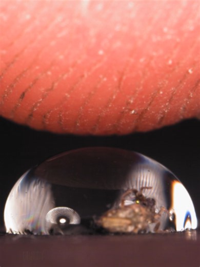 Water Drop | Surface Tensio #slowmotion #closeup | Water Drop