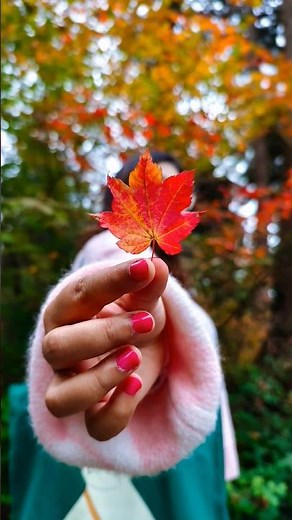Easy Fall Photoshoot Ideas | Autumn Leaves Photography
