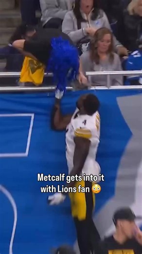 DK Metcalf gets into an altercation with a Lions fan 😳 (via @nfloncbs) | TSN