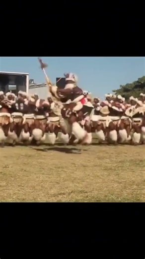 #Zulu #shorts #dance