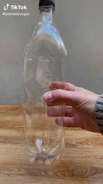 Riego por Goteo Casero: Cuida tus Plantas Efectivamente