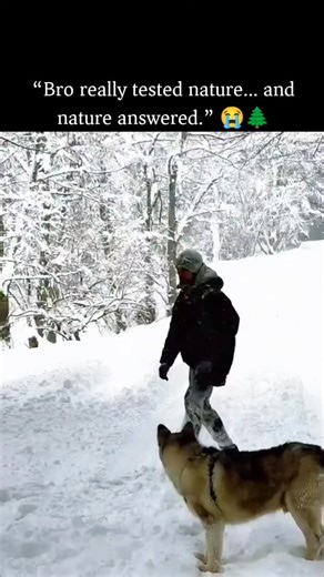 The Explainer on Instagram: "The video shows a man casually kicking a snow-covered tree, triggering a sudden cascade of snow that rains down in one dramatic moment, instantly transforming a quiet winter scene into something playful and cinematic. Situational analysis explains the appeal through cause-and-effect surprise: a single, simple action leads to an exaggerated visual payoff. The contrast between the calm posture and the explosive snowfall creates a satisfying visual rhythm, similar to mo