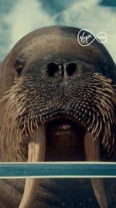 Virgin Media, awarded UK's Most Reliable Broadband Experience - two years in a row. | Virgin Media